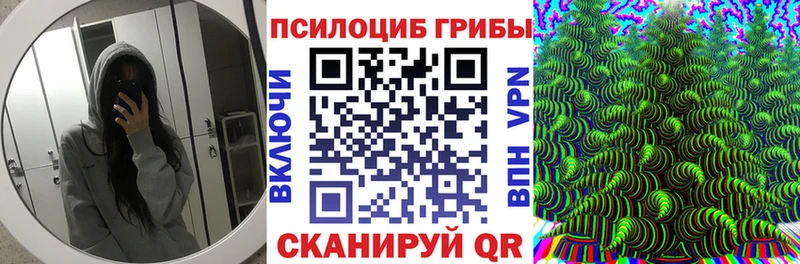 Псилоцибиновые грибы MAGIC MUSHROOMS  наркота  Высоковск 